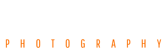 sevagostudio.com